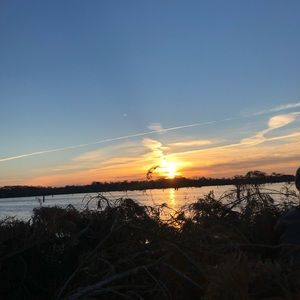 Meet your Posher, Cole